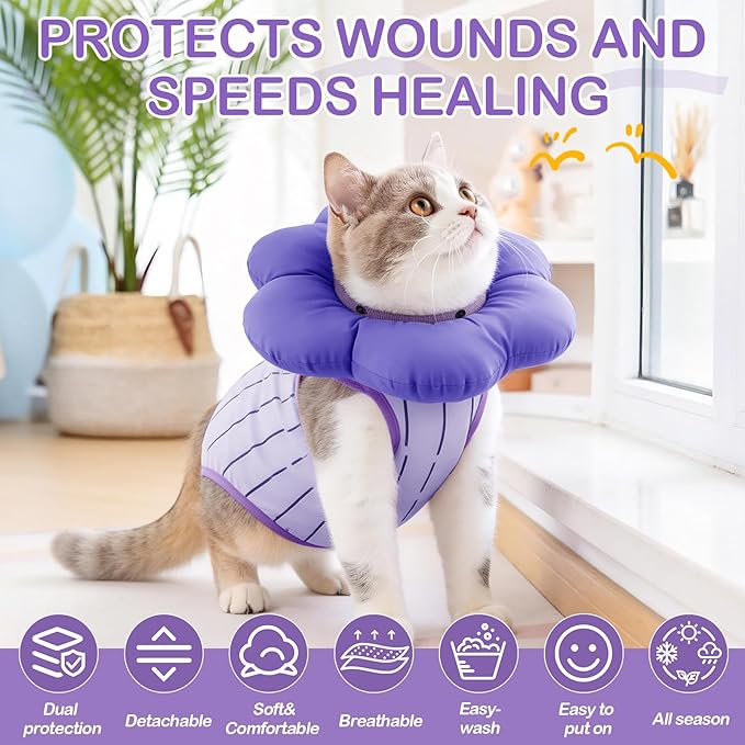 EMUST Recovery Suit for Small Dogs After Surgery, Soft E-Collar Alternative Surgical Wear, Breathable Anti-Licking Post-Op Clothes for Spay, Birth Control & Comfortable Recovery(Grapes,L)