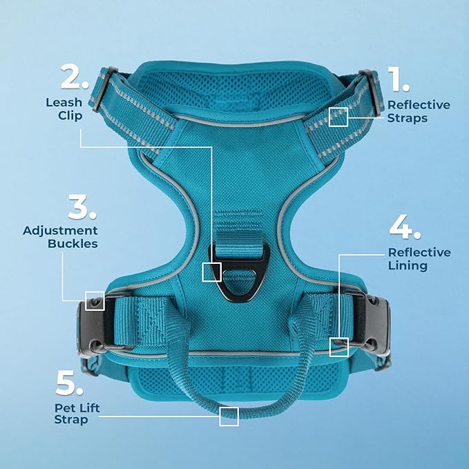 Voyager Dog Harness Dual Leash Attachment No-Pull Control Adjustable Soft but Strong Pet Harness for Medium and Large Dogs with 3M Reflective Technology - Turquoise, M (Chest: 20-25") (Pack of 3)
