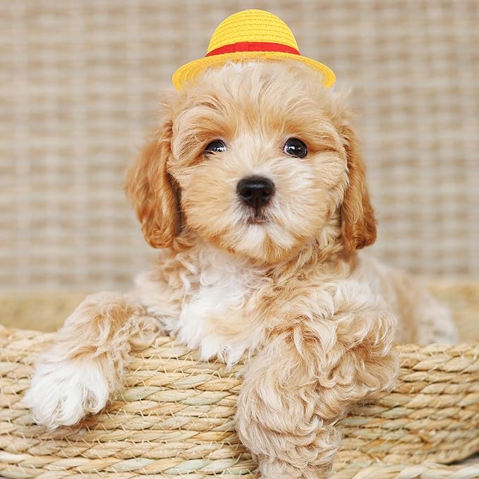 Beautyflier Pet Straw Hat Party Decorations Halloween Cosplay Cap Puppy Pet Dog Cat Holiday Costume for Small Dog Cat (Yellow, 2PCS)