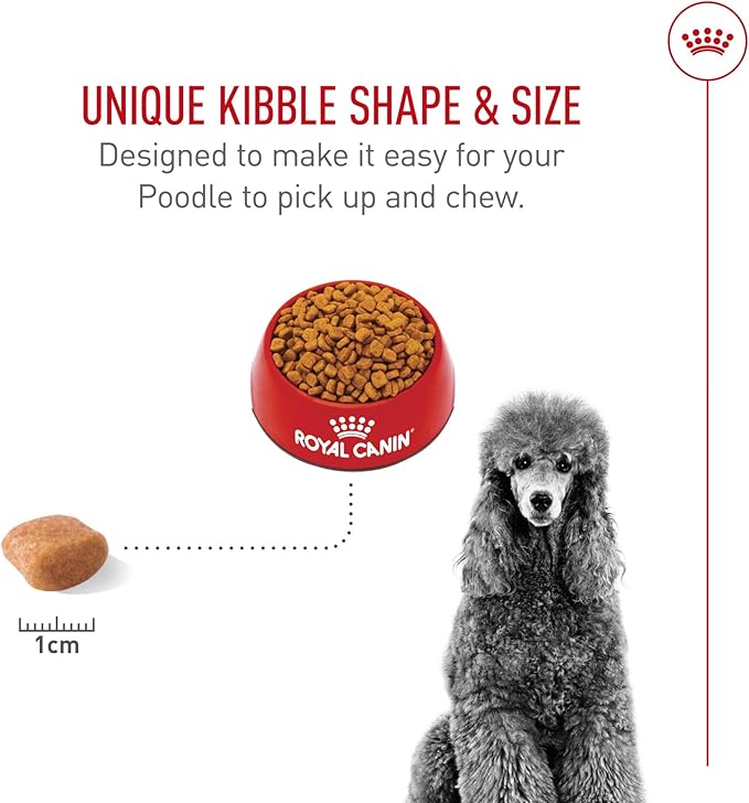 Royal Canin Breed Health Nutrition Poodle Adult Dry Dog Food, 10 lb Bag
