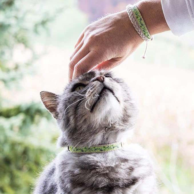 Pettsie Breakaway Cat Collar & Matching Friendship Bracelet – Adjustable, Soft Cotton Collar for Cats, Quick-Release Safety Buckle, Lightweight, Stylish, Designed for Cat Lovers, Green