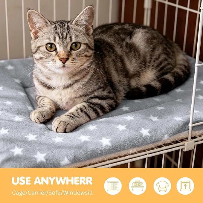 4 Pack Cat Bed Mat, 22" x 15" Soft Fluffy Flannel Small Pet Blanket, Washable Sleeping Pad for Indoor Cats, Kittens, Puppies, Star Print - Grey