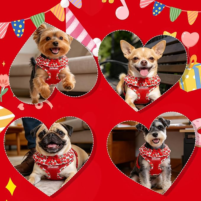 EXPAWLORER Cute Dog Harness Collar Leash Set - Red Girl Dog Harness Checkered Step-in Design, Adjustable No-Choke Lightweight Mesh Vest for Cats Puppy Small Dogs, Strawberry S