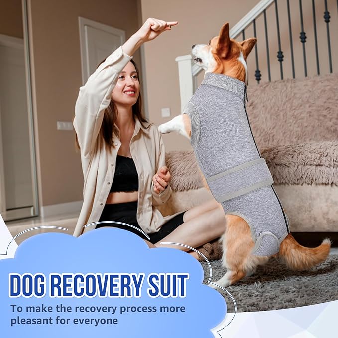 SlowTon Dog Surgery Recovery Suit - Zipper On Dog Onesies After Surgery for Female Male Dogs, Abdominal Wounds Bandages Cone/E-Collar Alternative Dogs Surgical Body Suit Anti-Licking (Grey, S)