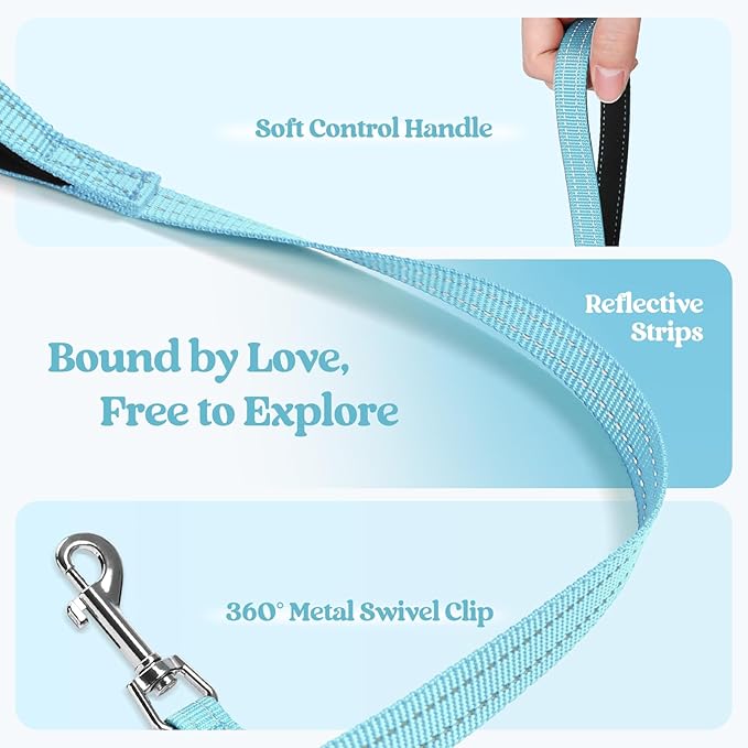 rabbitgoo Dog Harness Medium Sized and Leash Set, Step in Soft Light Puppy Vest, Breathable Mesh Pet Harness, Reflective for Safe Easy Walking, Mint Blue XXL