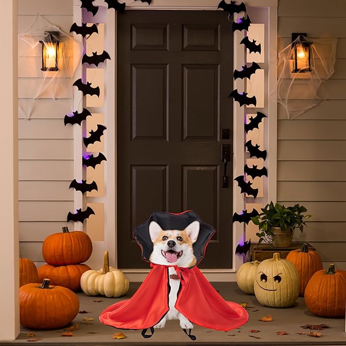 Qiansail Cat Cape Vampire Cloak Halloween Dog Costume Pet Cosplay Apparel Outfit Decor Accessories for Puppy Kitten (Black&Red)