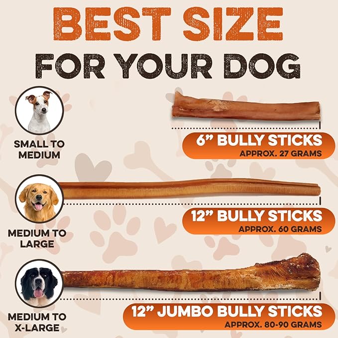 BRUTUS & BARNABY 6 Inch Bully Sticks for Dogs (12 Count) - Natural Grass-Fed Beef Chew Sticks, Odor Free, Single Ingredient, Fully Digestible, Rawhide Free - for Small, Medium & Large Dogs