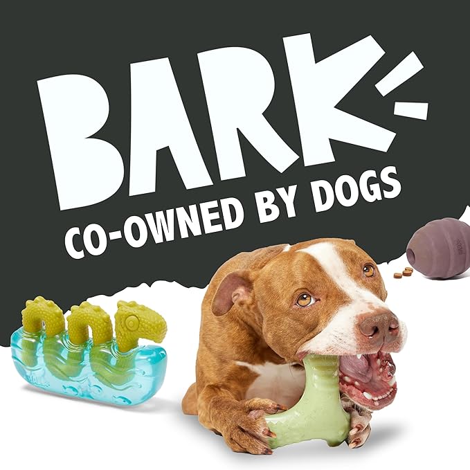 Barkbox Drac Pack Halloween Dog Toy & Treat Bundle - Treat Dispensing Chew Toy and Soft Baked Pumpkin Dog Treats