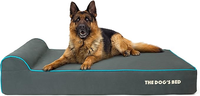 The Dog’s Bed Orthopedic Memory Foam Dog Bed with Headrest, Calming Surface – CertiPUR-Certified Foam, Oxford Fabric, Grey with Blue Trim, XL, 6-Inch
