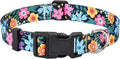Floral Dog Collar, Adjustable Soft Nylon Pet Collar for Small Medium Large Dogs, Cute Flower Pattern Dog Collar for Girl Boy Dogs(Jungle Vibe,L)