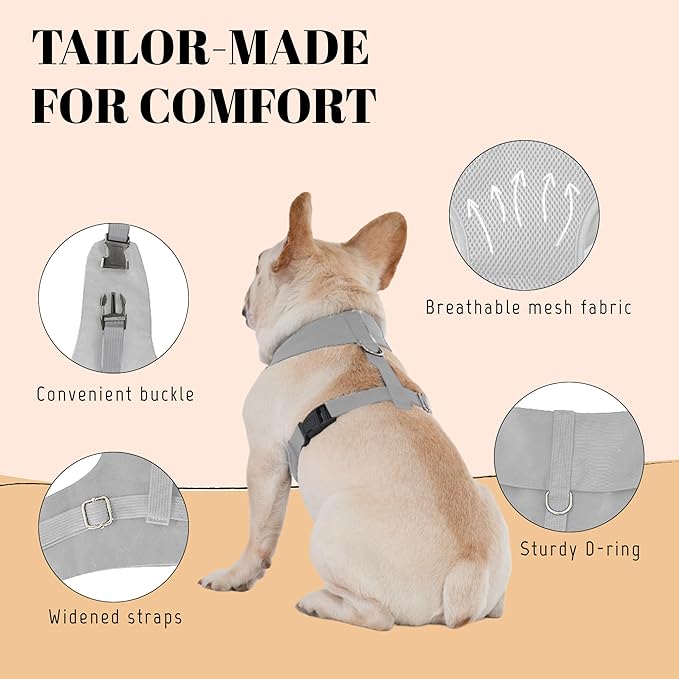 AVERYDAY Dog Tuxedo for Wedding Outfit, Dog Suit and Tie Costumes for Birthday, Halloween, Cosplay, Christmas Party, Pet Formal Wear with Bowtie, Tux for Medium Large Dogs, Bulldog, Labrador, Husky