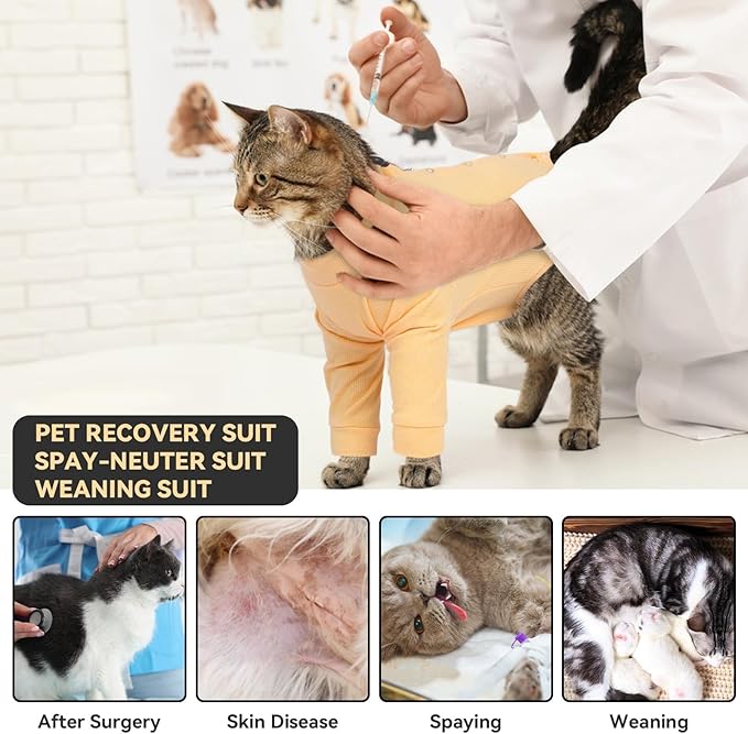 Cat Surgery Recovery Suit Female, Cat Onesie for Cats After Surgery Female & Male, Breathable Cat Spay Recovery Suit, Cat Cone Alternative Anti Licking, Cat Surgical Clothes for Cats Only (Orange, L)