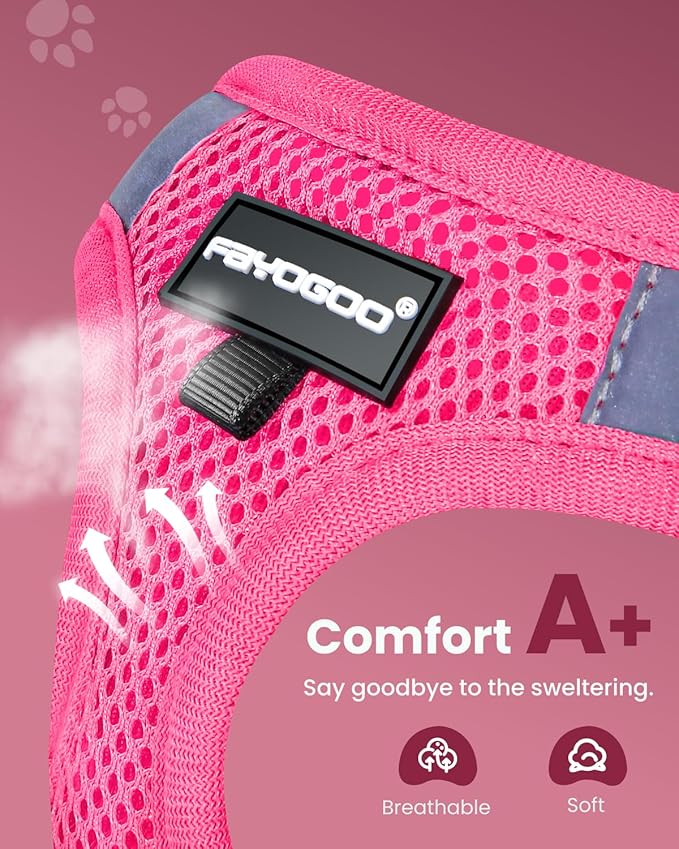 FAYOGOO Cat Harness, Cat Leash and Harness Set for Walking Escape Proof, Harness for Small Cats/Small Dogs, Large Kitten/Puppy Harness and Leash, Harness for Cats S-XXL(Pink, X-Large)