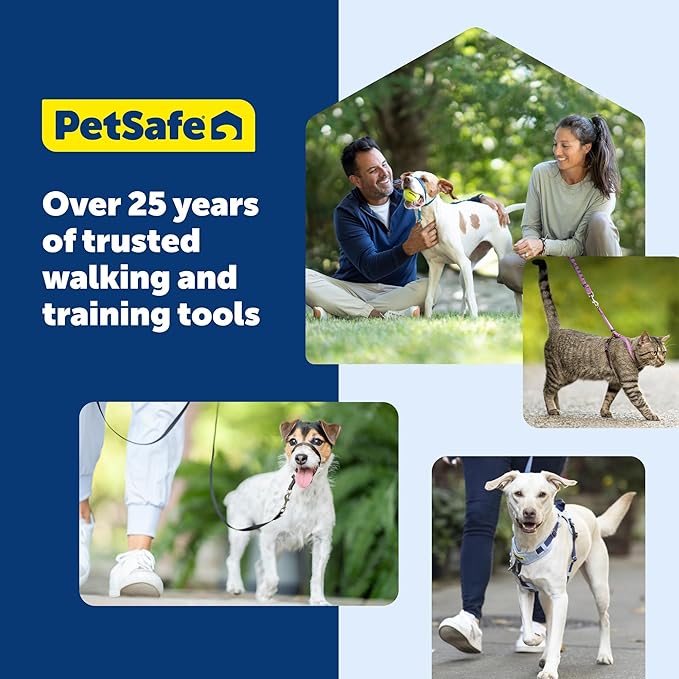 PetSafe Martingale Collar with Quick-Snap Buckle - Adjustable No-Slip Quick Release Dog Collar - Everyday Wear No-Pull Training Aid - 1" Wide - Medium - Raspberry