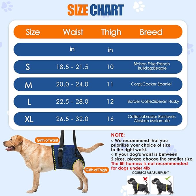 SlowTon Dog Lift Harness - Adjustable Dog Sling for Medium Large Dogs, Hind Leg Support to Help Rehabilitate, Soft Padded Dog Support Harness for Elderly, Injured, Arthritic, Disabled Dogs(BL,XL)
