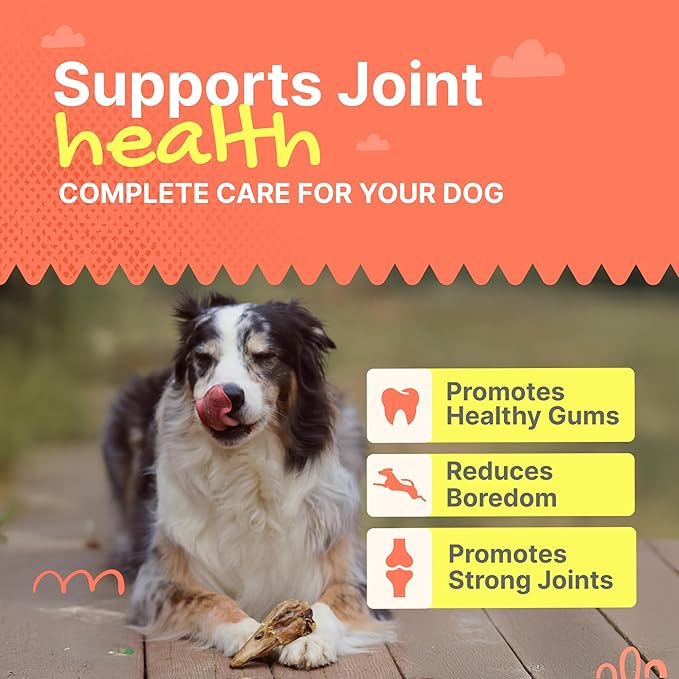Gaines Family Farmstead Duck Heads for Dogs – 3 Count, Single Ingredient, Dehydrated Dog Chews – High in Protein, Supports Dental Health & Joint Care – Rawhide-Free Treats, Made in USA