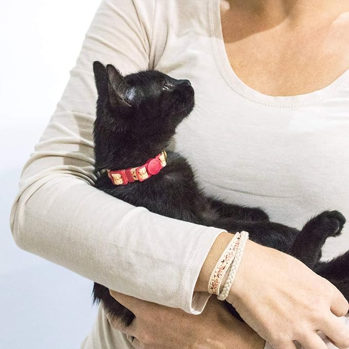 Pettsie Kitten Collar Breakaway with Matching Bracelet – Soft Cotton, Quick-Release Safety Buckle, Adjustable 5"-8", Stylish Gift Box, Red