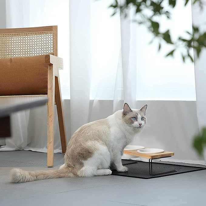FUKUMARU Elevated Cat Ceramic Bowls, Small Dog Raised Food Feeding Dishes, Solid Wood Water Stand Feeder Set for Cats and Puppy