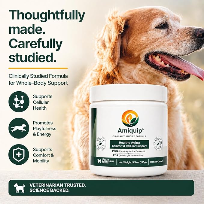 Amiquip® Dog Supplement for Senior Dogs – Longevity, Comfort & Joint Support, Clinically Studied Formula, 90 Soft Chews for Daily Healthy Aging with PQQ & Palmitoylethanolamide