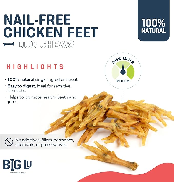 Big Lu – Nail-Free Chicken Feet Dog Chews, (60 Pack) |100% Natural Single-Ingredient Treats, Rawhide-Free, Long-Lasting, Rich in Glucosamine and Chondroitin for Joint Health
