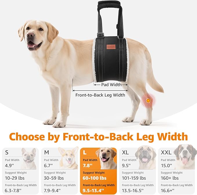 LOOBANI Portable Dog Sling for Back Legs, Hip Support Harness to Help Lift Rear for Canine Aid Old K9 Cruciate Ligament Rehabilitation