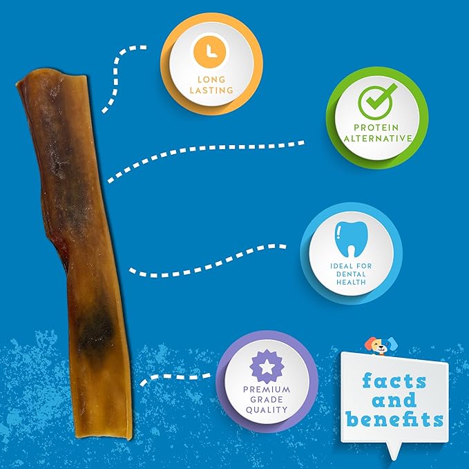 Jack&Pup Camel Skin Dog Chews for Aggressive Chewers Large - 6 ct – Hypoallergenic Collagen Sticks, Rawhide Free Single-Ingredient Collagen Chew Treats for Sensitive Stomach Dogs, Long Lasting Chews