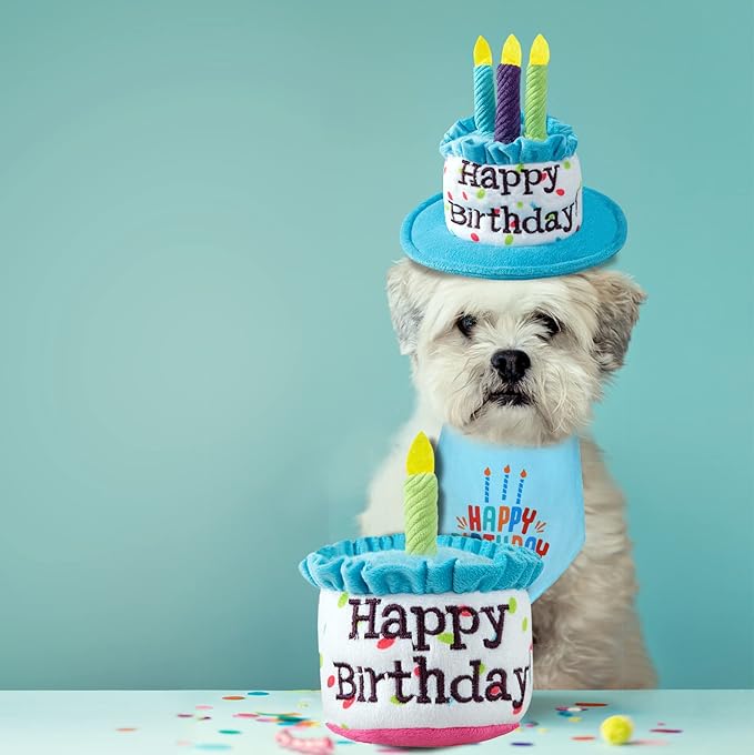 Puppy and Cat Happy Birthday Cake Hat & Bandana Scarfs Set with Colorful Candles Blue for Small Animas, Cat Birthday Party Supplies Decorations