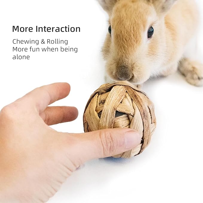 Natural Bunny Chew Toys Funny Safe Hay Grass Ball for Chinchilla Guinea Pig Rats Rabbits Hamster Gerbil Degu (8PC)