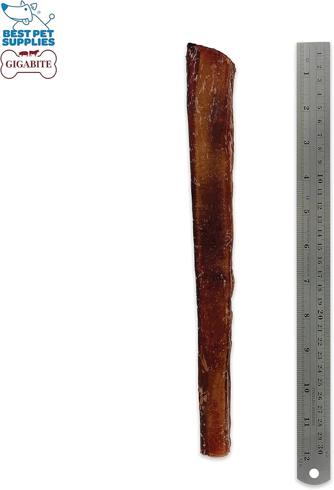 GigaBite Bully Sticks for Dogs All Natural Beef Pizzle Dog Chews, Odor & Rawhide Free Dog Treats, Long Lasting High Protein Chews Digestible Dental Dog Treat - Sticks (Monstrous 12"), Pack of 4