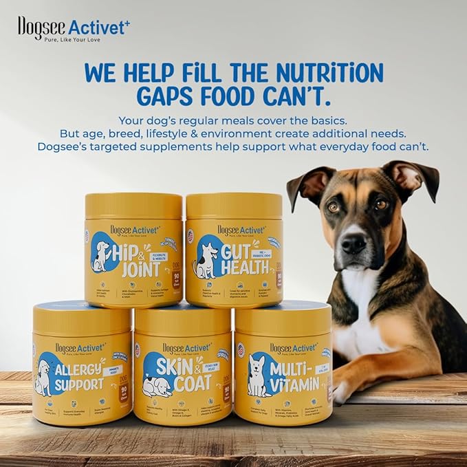 Dogsee Activet+ Dog Multivitamin Supplement Chews, with Vitamins, Minerals, Probiotics, Omega Fatty Acids & Glucosamine, Daily Wellness & Vitality Support, Chicken Flavor – 90 Chews