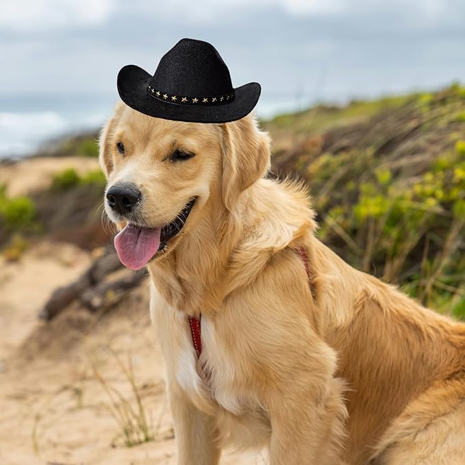Dog Cowboy Hat Cat Cowboy Hat Mini Cowboy Hat for Dogs Cat Pet Cowboy Costume with Bandana Scarf Holiday Halloween Pet Party Decoration (Black, Large)