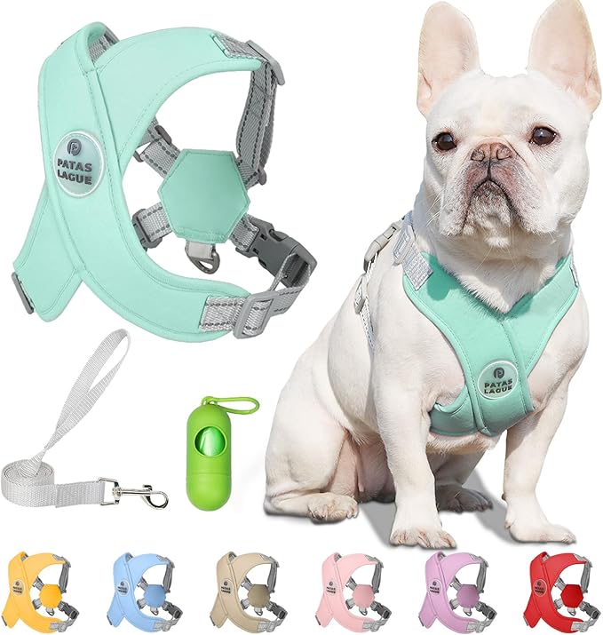 Patas Lague Dog Harness with Leash Set Adjustable Soft Padded Step-in Dog Vest No Choke No Pull Reflective for Medium Pets with Poop Bags and Dispenser, Solid and No-chew, Green L