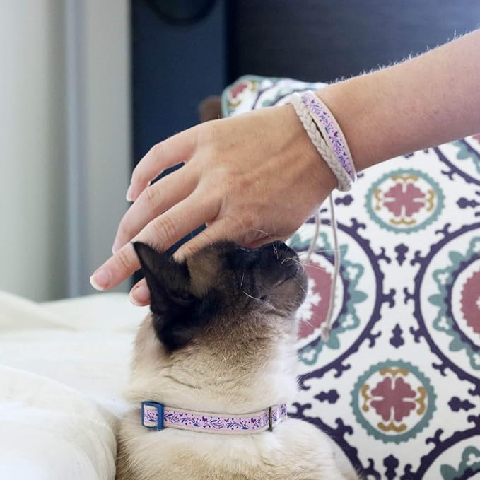 Pettsie Kitten Collar Breakaway with Matching Bracelet – Soft Cotton, Quick-Release Safety Buckle, Adjustable 5"-8", Stylish Gift Box, Purple