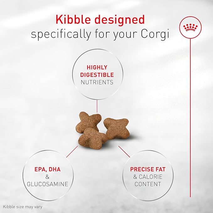 Royal Canin Corgi Adult Dry Dog Food, Kibble for Corgis 12 Months+, Supports Digestion and Weight Management, 27 lb Bag