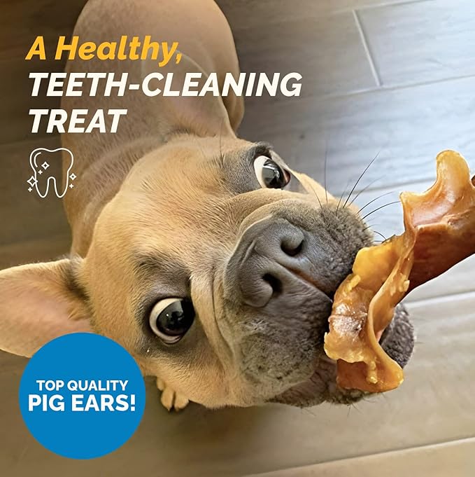 123 Treats Natural Pig Ears for Dogs - 5 lb Bulk Pork Strips and Slivers, Single Ingredient Pet Chews Perfect for Puppies or Training Rewards, Premium Dog Treats Bulk