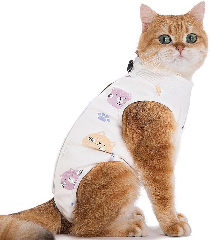 Cat Recovery Suit Female Kitten Onesie for Cats After Surgery Female Spay Surgical Abdominal Wound Skin Diseases Cone Collar Soft Alternative Wear (Cat, L)