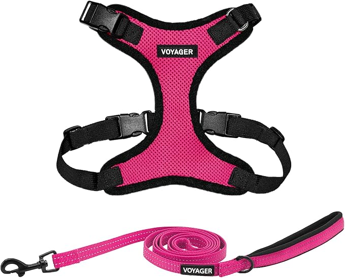 Best Pet Supplies Voyager Step-in Lock Pet Harness w Reflective Pet Leash Combo Set with Neoprene Handle 5ft - Supports Small, Medium and Large Breed Puppies/Cats - Fuchsia/Black Trim Set, M