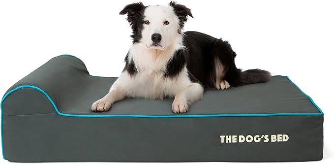 The Dog’s Bed Orthopedic Memory Foam Dog Bed with Headrest, Calming Surface – CertiPUR-Certified Foam, Oxford Fabric, Grey with Blue Trim, Large, 6-Inch