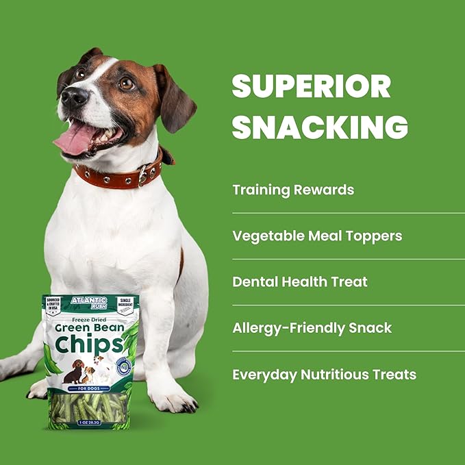Atlantic Rush Freeze Dried Green Bean Chips for Dogs- 1oz Resealable Bag of Dried, Green Crispy Beans- Single Ingredient, No Salt or Canola Oil- Crispy, Shelf Stable - Made in USA (1 oz Bag)