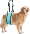 AIITLE Dog Sling for Large Dogs Hind Leg Support - Adjustable Reflective Design with Plush Padding, Ideal for Senior/Arthritic Dogs & Post-Surgery Recovery (Turquoise, L)