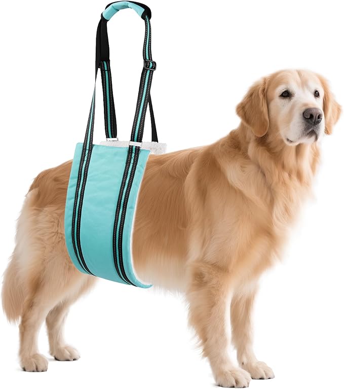 AIITLE Dog Sling for Large Dogs Hind Leg Support - Adjustable Reflective Design with Plush Padding, Ideal for Senior/Arthritic Dogs & Post-Surgery Recovery (Turquoise, L)