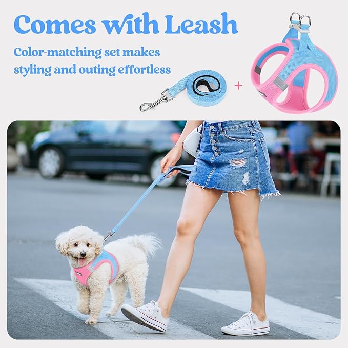 rabbitgoo Dog Harness Small Sized and Leash Set, Step in Soft Light Puppy Vest, Breathable Mesh Pet Harness, Reflective for Safe Easy Walking, Blue & Light Pink M