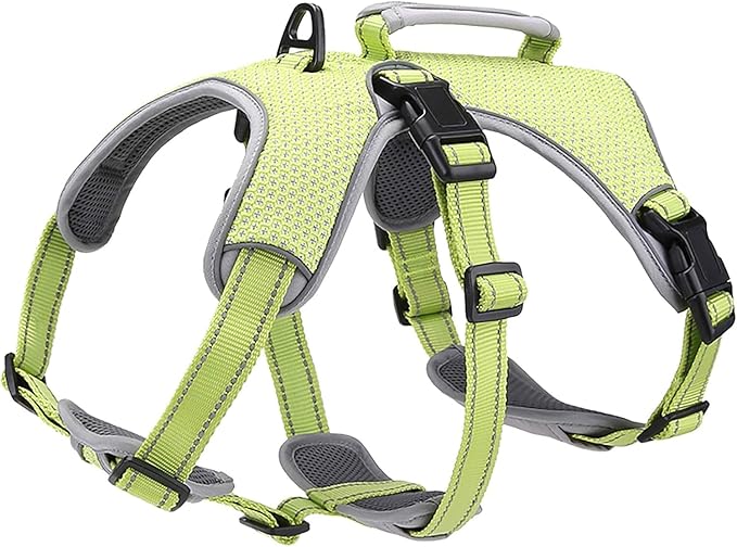BELPRO Multi-Use Support Dog Harness, Escape Proof No Pull Reflective Adjustable Vest with Durable Handle, Dog Walking Harness for Big/Active Dogs (Green, XL)