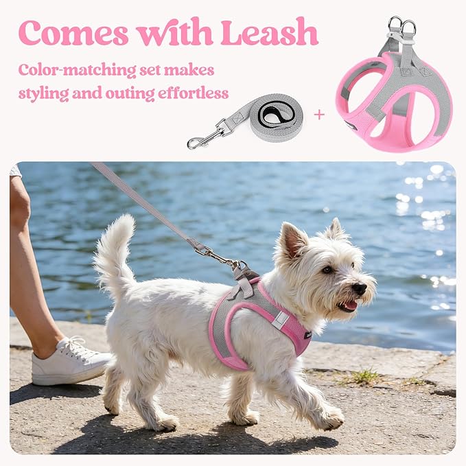 rabbitgoo Dog Harness Small Sized and Leash Set, Step in Soft Light Puppy Vest, Breathable Mesh Pet Harness, Reflective for Safe Easy Walking, Pink & Gray XS