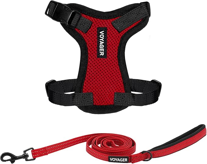 Best Pet Supplies Voyager Step-in Lock Pet Harness w Reflective Pet Leash Combo Set with Neoprene Handle 5ft - Supports Small, Medium and Large Breed Puppies/Cats - Red/Black Trim Set, XXXS