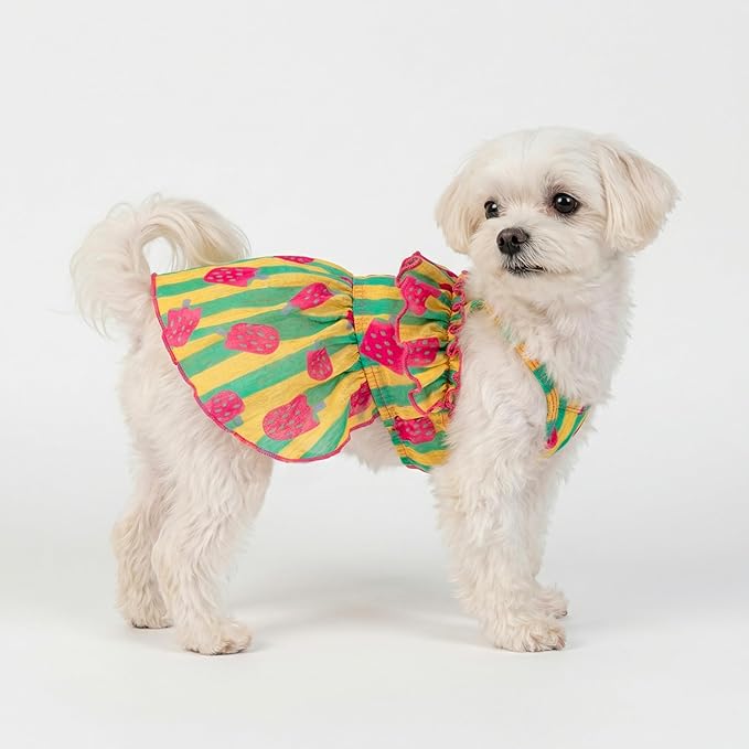 Fitwarm Strawberry Ice Pop Dog Dress, Striped Summer Dog Clothes for Small Dogs Girl, Pet Outfit, Green, Yellow, Light Pink, Large