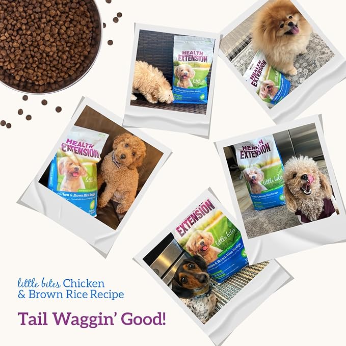 Health Extension Little Bites Dry Dog Food for Toy and Small Breeds, Chicken & Brown Rice Recipe, with Probiotics & Superfoods for Digestion & Coat Health, 30 lb Bag