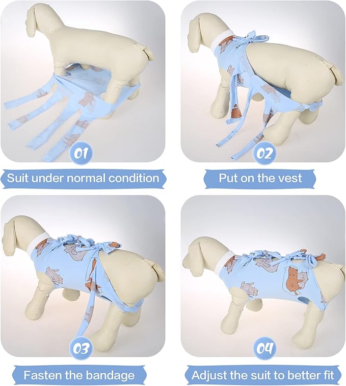 PUMYPOREITY Cat Recovery Suit After Surgery, Onesie for Female Cats, Kitten Surgical Wear for Neutered/Abdominal Wound/Skin Damage/Weaning, Large, Blue