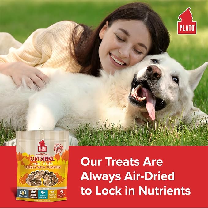 Plato Pet Treats Real Strips - Air-Dried Meat Bars for Dogs - Delicious, Limited Ingredient Dog Treats - Grain Free - Original Real Strips Turkey & Pumpkin 18oz - 2 Pack