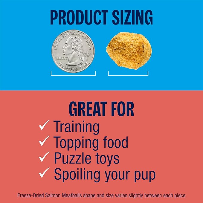 Muenster New 4 Ingredient Freeze Dried Salmon Meatball Treats for Dogs - Great for Training, Meal Toppers or Just for a Treat. 4 Ounce (Pack of 1)